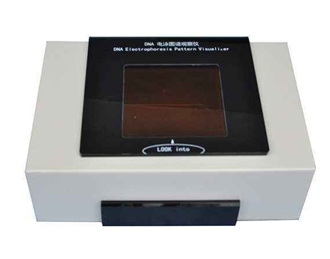 27028DNA�Ӿ�D�V�^��x